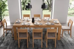 Coppia sedie in legno massello Eldan
