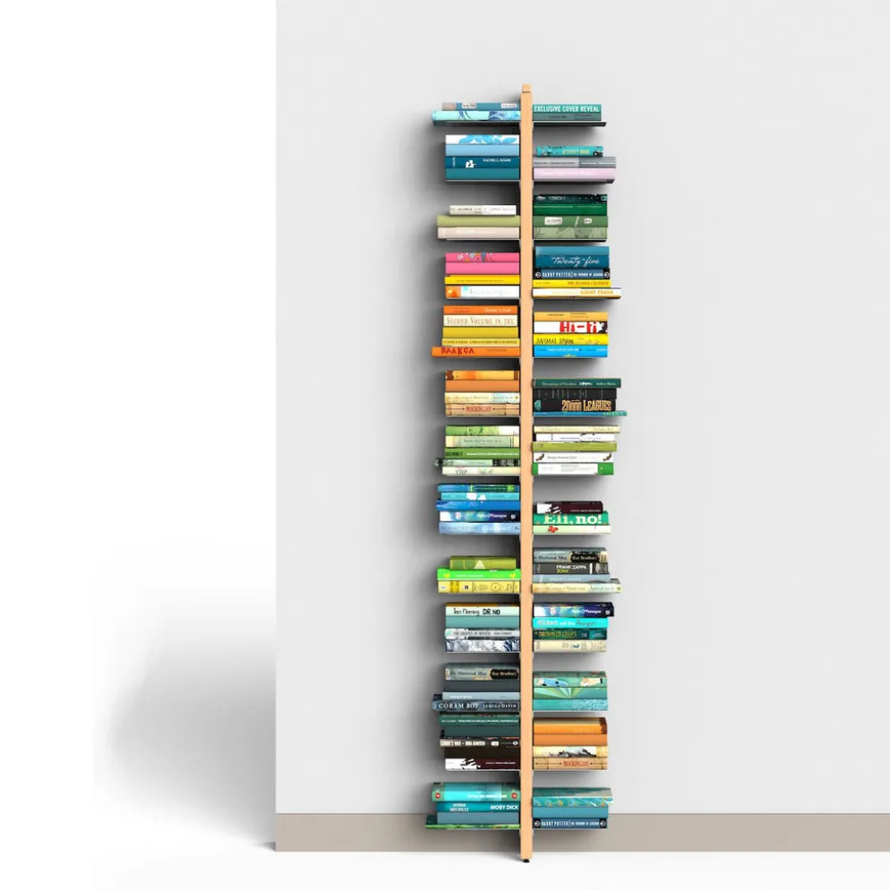 Libreria salvaspazio a muro Zia Bice